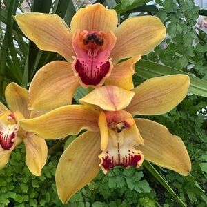 Meet your Posher, Eleina